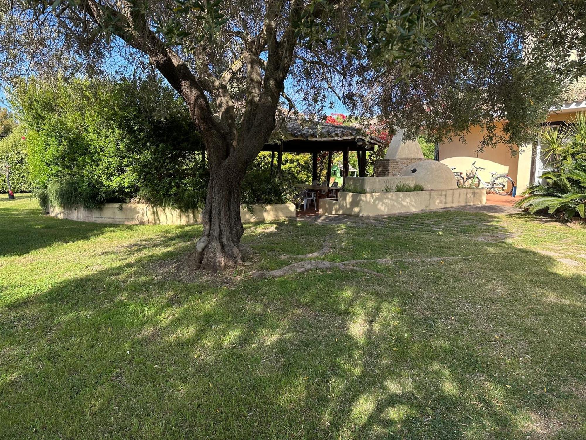 Villa Degli Olivi Pula Esterno foto